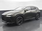 2025 Lexus NX