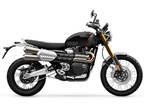 2025 Triumph Scrambler 1200 XE