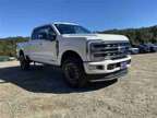 2024 Ford F-250SD Platinum