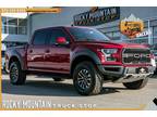 2019 Ford F-150 Raptor CREW CAB 1-OWNER / CLEAN CARFAX / LOADED - Dallas,TX