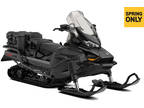 2025 Ski-Doo Skandic SE 900 ACE ES Silent Ice Cobra WT 1.5 Track 24 in.