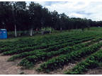 Business For Sale: Wholesale Farm & Nursery