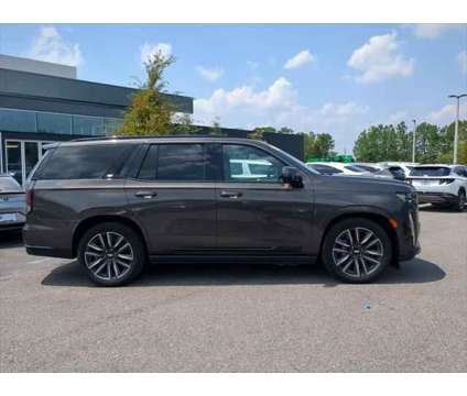 2021 Cadillac Escalade 2WD Sport is a Brown 2021 Cadillac Escalade Car for Sale in Jacksonville FL