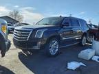 2018 Cadillac Escalade Esv Luxury