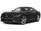 2024 Ford Mustang EcoBoost Fastback