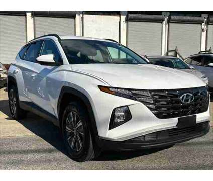 2024 Hyundai Tucson Hybrid Blue is a White 2024 Hyundai Tucson Hybrid in Stamford CT