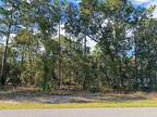 Daisy St, Homosassa, Plot For Sale