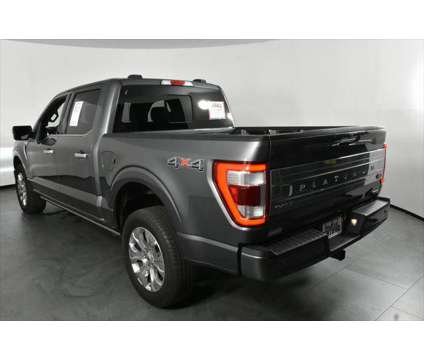 2023 Ford F-150 Platinum is a Grey 2023 Ford F-150 Platinum Truck in Orlando FL