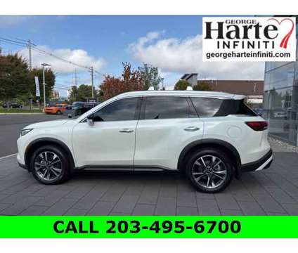 2024 Infiniti QX60 LUXE AWD is a White 2024 Infiniti QX60 Luxe SUV in Wallingford CT