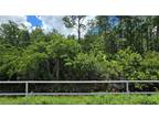 Hammock Rd, Sebring, Plot For Sale