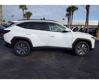 2024 Hyundai Tucson Hybrid Blue is a White 2024 Hyundai Tucson Hybrid in Daytona Beach FL