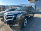 2019 Cadillac Escalade Esv Luxury