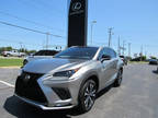 2018 Lexus NX 300 F SPORT