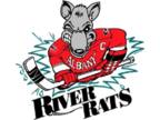 Bridgeport Sound Tigers vs. Albany Devils