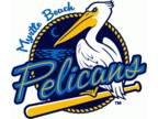 Myrtle Beach Pelicans vs. Wilmington Blue Rocks Tickets