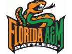 Grambling State Tigers vs. Florida A&M Rattlers Tickets
