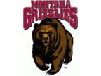 Northern Arizona Lumberjacks vs. Montana Grizzlies Tickets